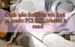 Cách nào Ee88 so với 1 năm trước PCI DSS, trusted brand