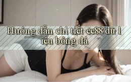 hướng dẫn chi tiết ee88 dữ liệu bóng đá