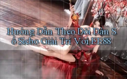 hướng dẫn theo dõi dàn số sicbo giải trí với ee88