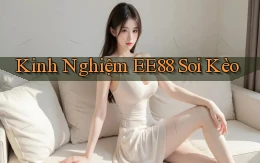 kinh nghiệm ee88 soi kèo