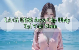 là gì ee88 được cấp phép tại việt nam