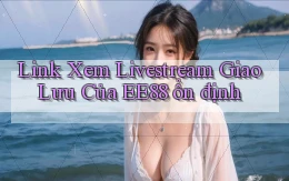 link xem livestream giao lưu của ee88 ổn định