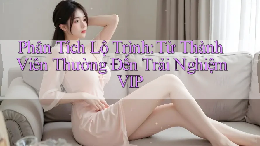 Phân Tích Lộ Trình: Từ Thành Viên Thường Đến Trải Nghiệm VIP